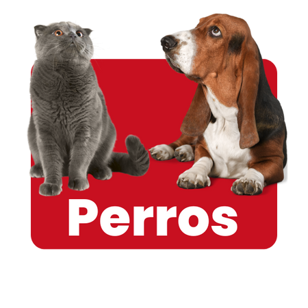 Perros